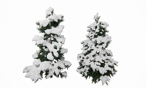 Winter Pine Cedar Conifer 3d model