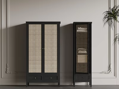 Black Rattan Storage Cabinets With Glass Shelves And Potted Plant Decor 3d model