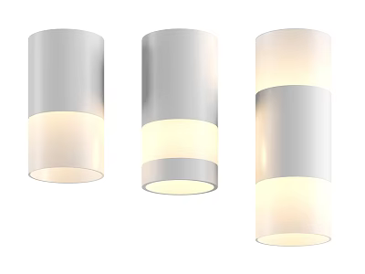 Modern Downlights Cylindrical Design Silver White Finish For Home Interior Lighting 3d model
