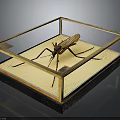 Large Mosquito Specimen In Glass Display Case With Golden Frame On Black Background