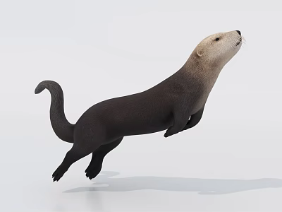 Otter Aquatic Animal 3D Model Leaping With Smooth Fur On White Background 3d model