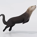 Otter Aquatic Animal 3D Model Leaping With Smooth Fur On White Background