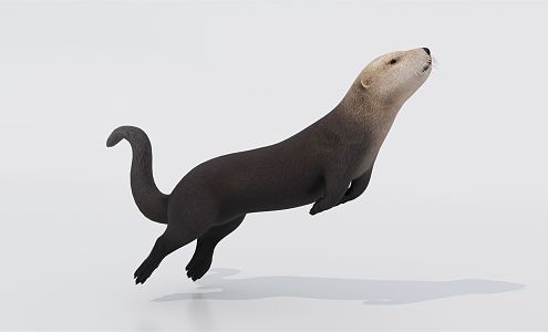 modern otter sea otter 3d model