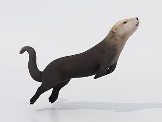 modern otter sea otter 3d model