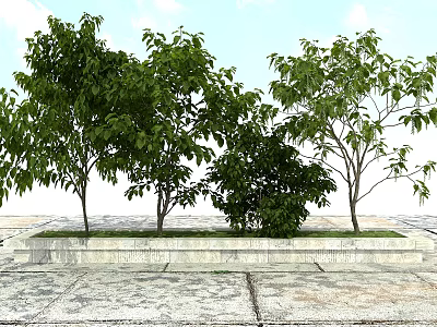 Lush Green Trees with Fresh Leaves in Stone Planter and Stone Pavement Under Blue Sky 3d model