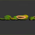 Fresh Ripe Papayas With Whole And Sliced Pieces Showing Orange Flesh And Black Seeds