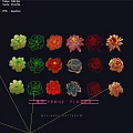 Colorful Peony Flower Wall Decor Featuring Various Styles And Gold Red Blue Designs