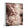 Detailed Botanical Painting Showcasing Vibrant Pink Peonies in Full Bloom