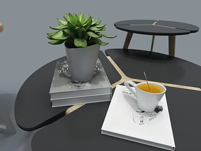 Black Coffee Table With Wooden Legs Geometric Lines Succulent Plant Books And White Tea Cup 3d model