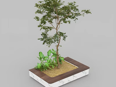 Arbor In Square Planter With White Base Wooden Edge Soil And Green Small Plants 3d model