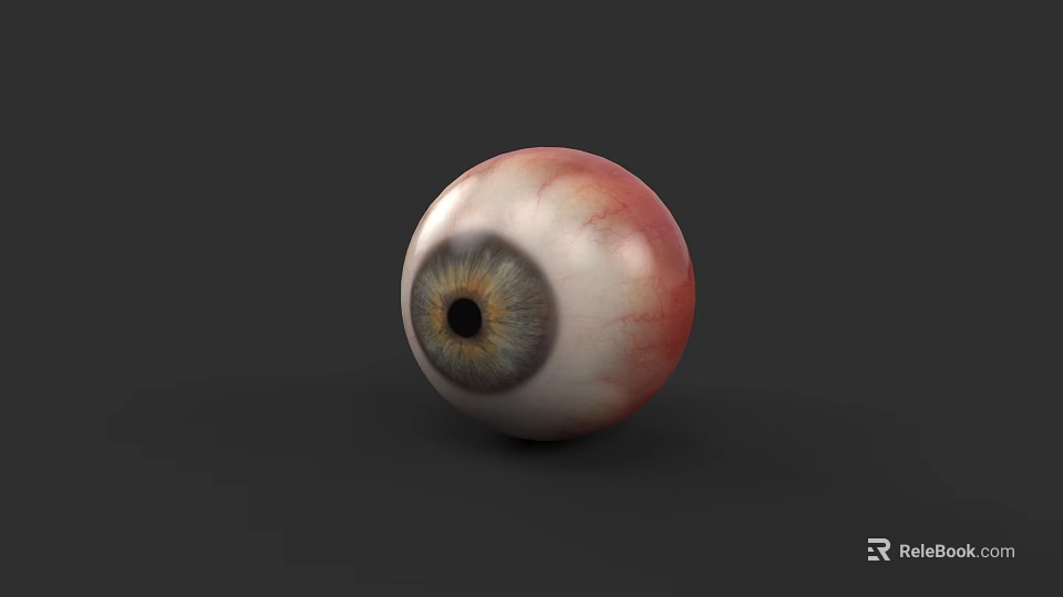 Realistic Human Eye 3D Model With Brown Iris And Red Blood Vessels 3d model 