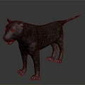 3D Rendered Leopard Model With Dark Spotted Fur Standing On Gray Background With Orange Eyes