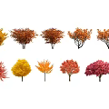 Autumn Trees with Multicolored Leaves in Row of Various Hues and Natural Landscape