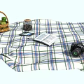 Garden Landscape With Picnic Setup Including Checkered Blanket Basket Fruits Book Camera And Phone