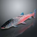 Aquatic Animal Pink Blue Body With Black Spots And Shiny Fins On Dark Background