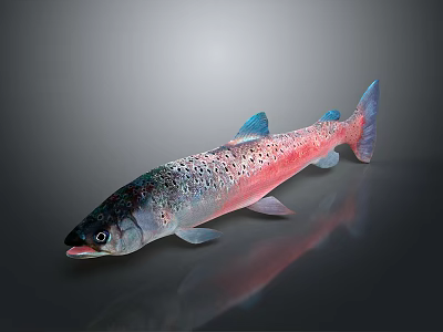 Aquatic Animal Pink Blue Body With Black Spots And Shiny Fins On Dark Background 3d model