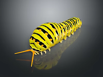 Yellow Black Striped Caterpillar With Orange Antennae And Black Spots On Dark Background 3d model