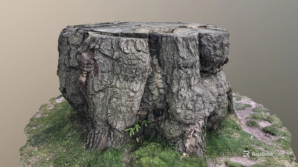 Natural Scene Featuring Old Tree Stump With Rough Bark Small Plant And Green Grass 3d model 