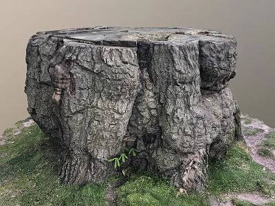 Natural Scene Featuring Old Tree Stump With Rough Bark Small Plant And Green Grass 3d model
