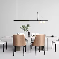 Modern Dining Table Set With Rectangular Top White Brown Chairs Pendant Light And Plant 3d model