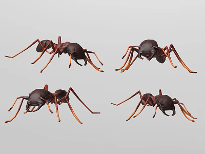 Reptile Models In Different Poses With Brown Body And Orange Legs On Gray Background 3d model