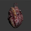 3D Rendered Organ With Hair Like Fibrous Structure And Textured Marbled Surface