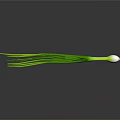 Fresh Green Onion With Green Leaves And White Bulb On Gray Background