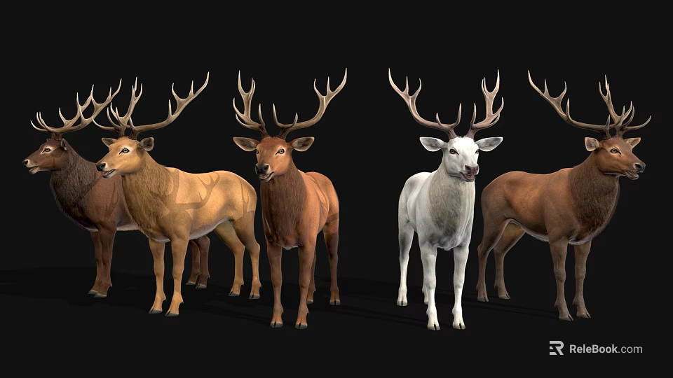 Realistic Reptile Models In Various Colors Standing On Black Background 3d model 