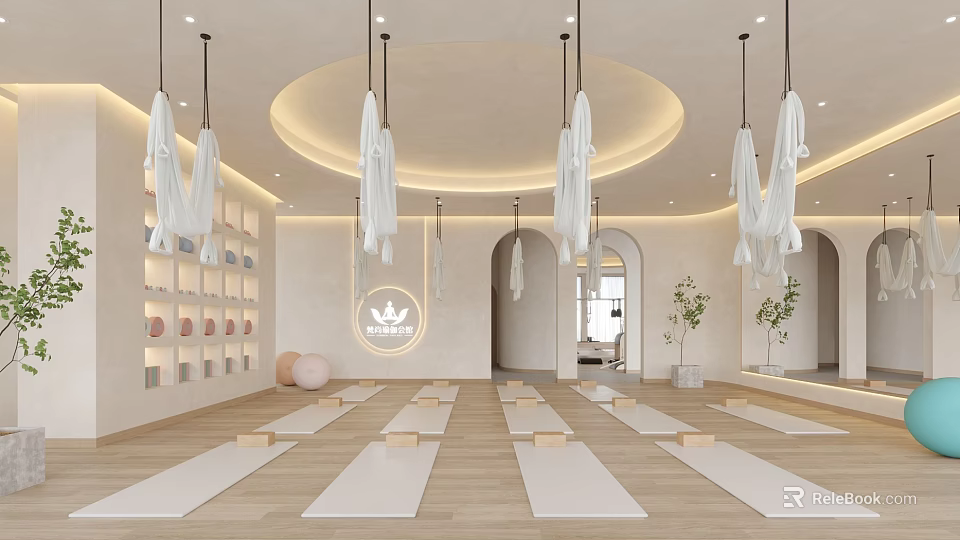 Modern Aerial Yoga Studio With Yoga Mats Blocks Natural Light And Plants 3d model 