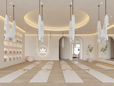 Modern Aerial Yoga Studio With Yoga Mats Blocks Natural Light And Plants 3d model