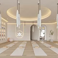 Modern Aerial Yoga Studio With Yoga Mats Blocks Natural Light And Plants