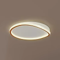 Modern Green Curved Ceiling Light With Circular Design And Illumination 3d model