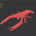 Fresh Seafood Lobster Close Up Isolated On Gray Background With Detailed Claws And Shell