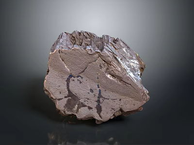 Natural Wood Stone With Rough Surface And Intricate Organic Textural Patterns 3d model