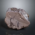Natural Wood Stone With Rough Surface And Intricate Organic Textural Patterns