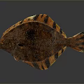 Realistic Decorative Fish Model With Brown Orange Black Stripes For Home Decor