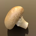 Fresh Brown Mushroom with Smooth Cap and White Stem Isolated on Neutral Background