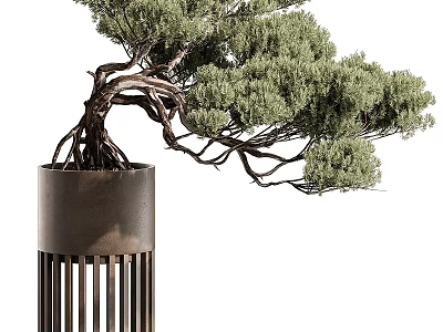 Bonsai Plant Featuring Twisted Branches Green Foliage Exposed Roots In Metal Pot With Vertical Slats 3d model