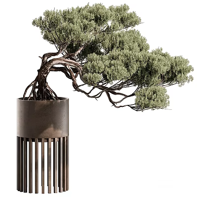 Bonsai Plant Featuring Twisted Branches Green Foliage Exposed Roots In Metal Pot With Vertical Slats 3d model
