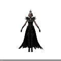 Fantasy Female Character in Black Elegant Armor with Silver Hair and Crown