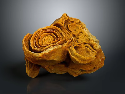 Wooden Stone With Natural Spiral Texture And Yellow Organic Decorative Shape 3d model