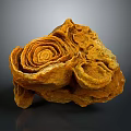 Wooden Stone With Natural Spiral Texture And Yellow Organic Decorative Shape