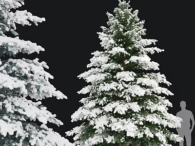 Snow Covered Evergreen Tree With Green Branches And Winter Snow Accumulation 3d model