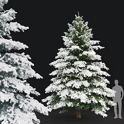 Snow Covered Evergreen Tree With Green Branches And Winter Snow Accumulation 3d model