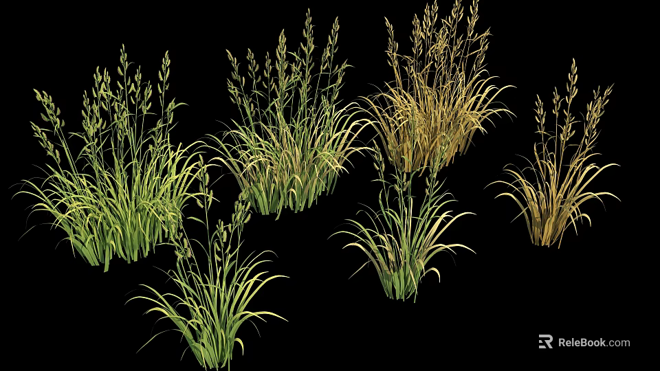Lush Varied Grass Plants Featuring Green And Golden Tall Slender Leaves And Ornamental Clumping Foliage 3d model 