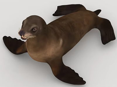 Realistic Brown Seal Aquatic Animal Full Body View With Flippers And Detailed Features 3d model