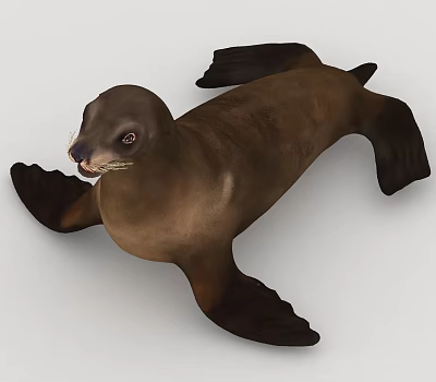 Realistic Brown Seal Aquatic Animal Full Body View With Flippers And Detailed Features 3d model
