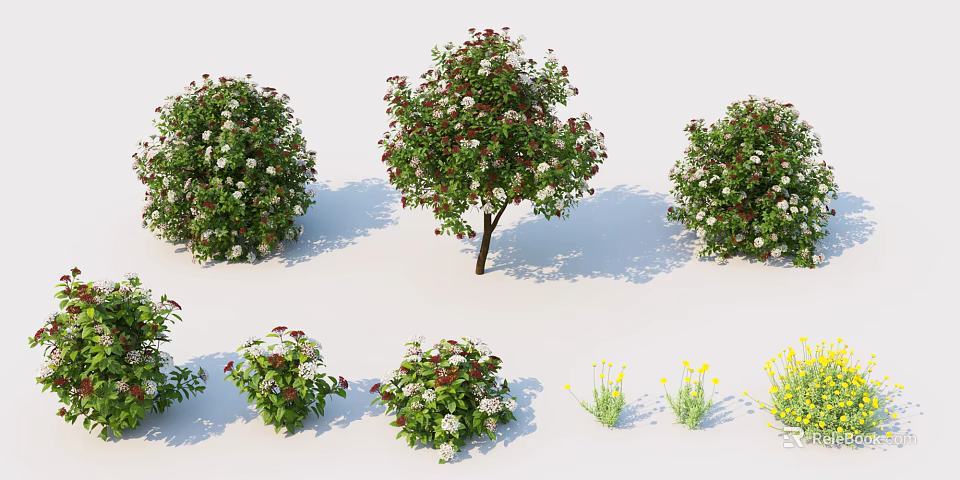 Various Flowering Shrubs In Different Shapes With White Red Yellow Blooms For Garden Design 3d model 