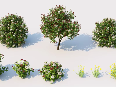 Various Flowering Shrubs In Different Shapes With White Red Yellow Blooms For Garden Design 3d model
