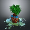 Green Leafy Plant Growing On Tree Root Shaped House With Water Droplets Around Base